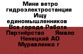 Мини ветро-гидроэлектростанции. Ищу единомышленников. - Все города Работа » Партнёрство   . Ямало-Ненецкий АО,Муравленко г.